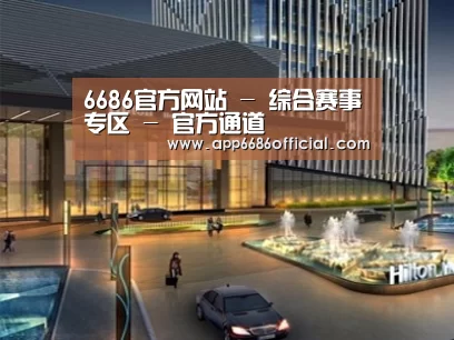 案例展示二